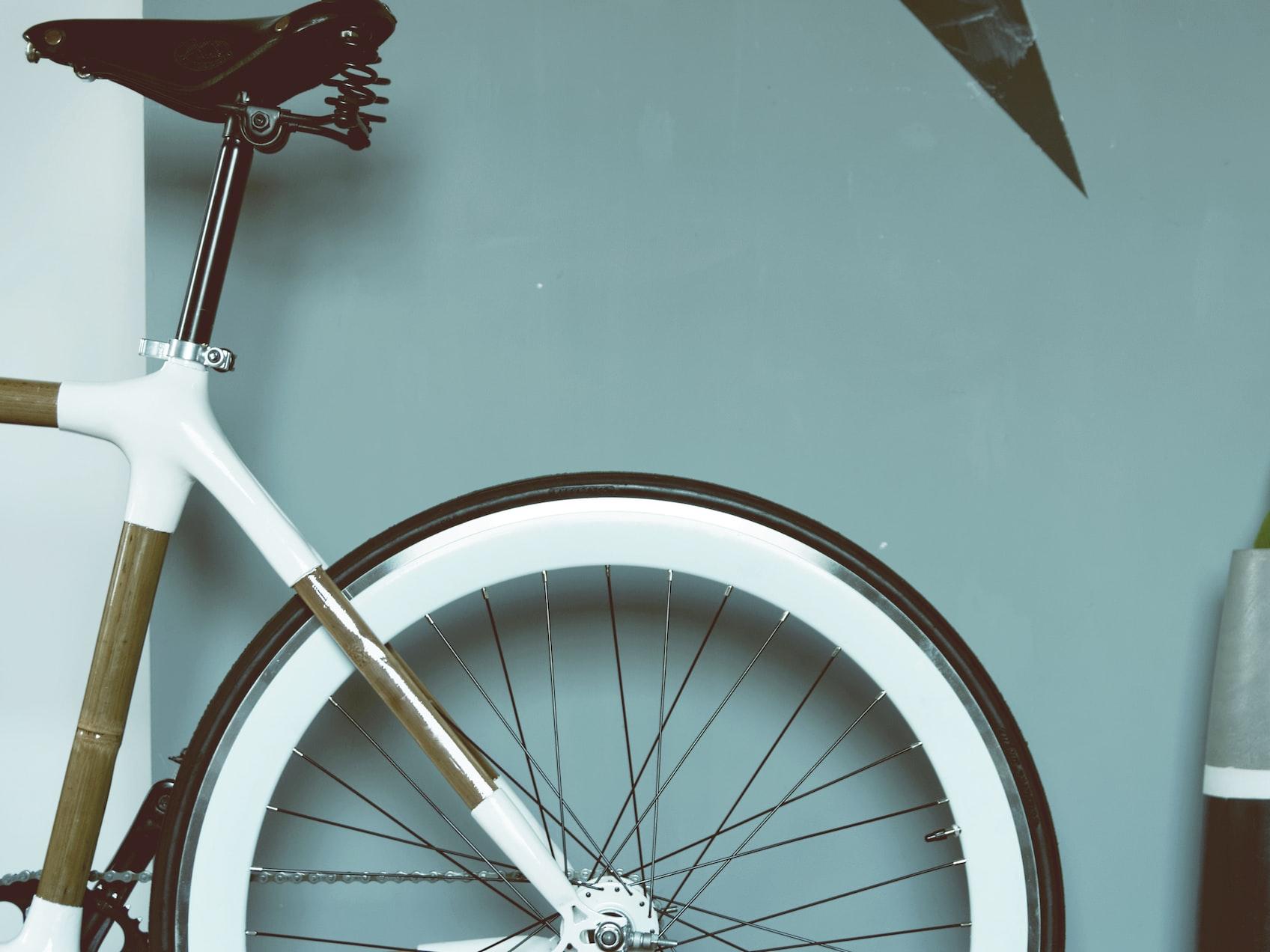 bike near wall and pot with plant